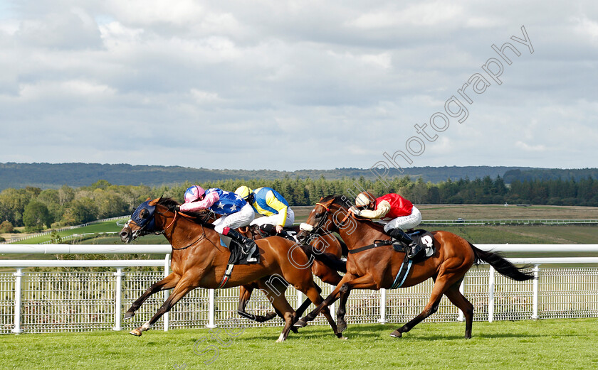 Seinesational-0003 
 SEINESATIONAL (Oisin Murphy) beats C'EST LA MOUR (right) in The Ladbrokes Get Your Daily Odds Boost Handicap
Goodwood 29 Aug 2020 - Pic Steven Cargill / Racingfotos.com