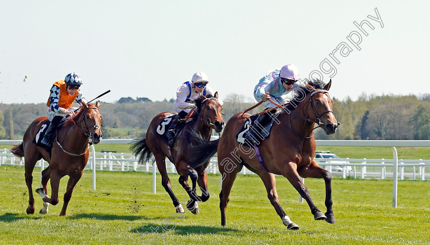 Dave-Dexter-0001 
 DAVE DEXTER (Richard Kingscote) beats GLORY FIGHTER (centre) in The Dreweatts Newcomers EBF Maiden Stakes Newbury 20 Apr 2018 - Pic Steven Cargill / Racingfotos.com