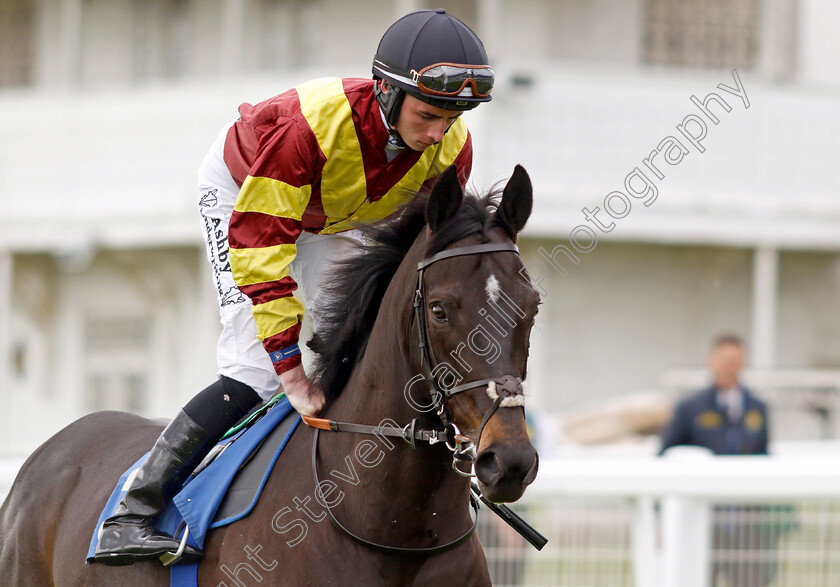 Flyin -Solo-0001 
 FLYIN' SOLO (Rossa Ryan)
Epsom 25 Apr 2023 - Pic Steven Cargill / Racingfotos.com