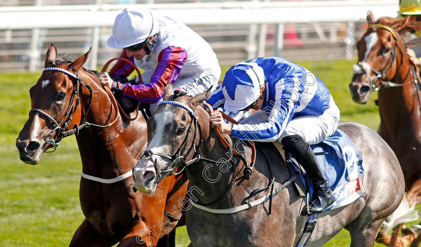 Shine-So-Bright-0005 
 SHINE SO BRIGHT (right, James Doyle) beats LAURENS (left) in The Sky Bet City Of York Stakes
York 24 Aug 2019 - Pic Steven Cargill / Racingfotos.com