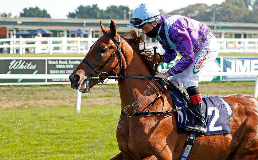 Good-Cop-0001 
 GOOD COP (Shane Kelly)
Yarmouth 15 Sep 2020 - Pic Steven Cargill / Racingfotos.com