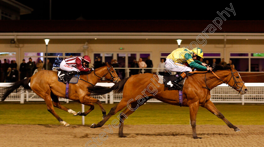 Ice-Royal-0005 
 ICE ROYAL (Dougie Costello) wins The Bet totetrifecta At betfred.com Handicap Chelmsford 1 Dec 2017 - Pic Steven Cargill / Racingfotos.com