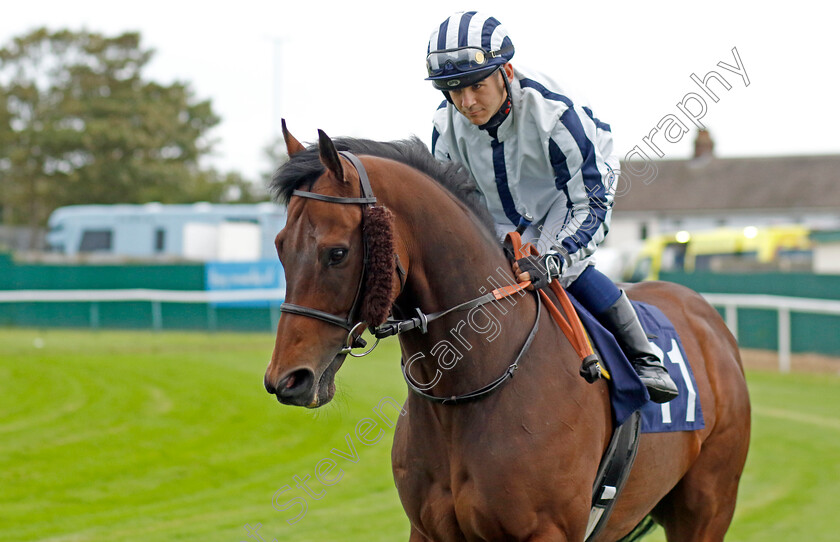 Lipsink-0001 
 LIPSINK (Marco Ghiani)
Yarmouth 19 Sep 2023 - Pic Steven Cargill / Racingfotos.com