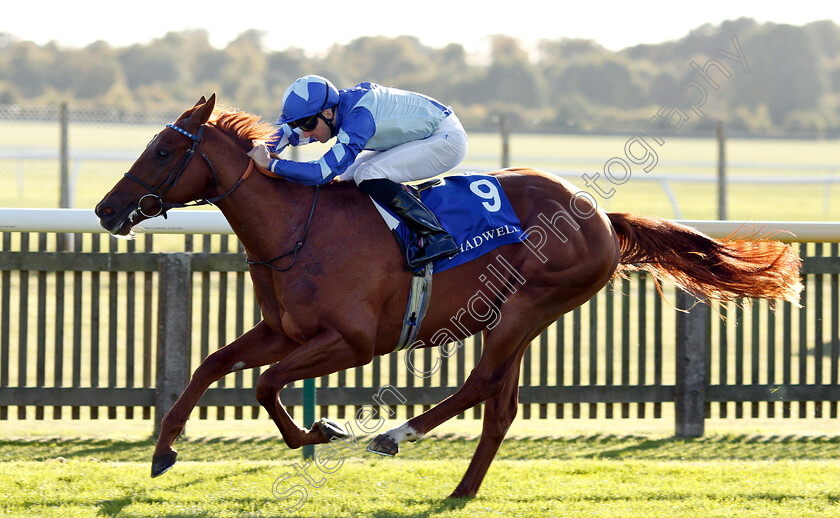 Skardu-0005 
 SKARDU (Martin Harley) wins The Derrinstown British EBF Maiden Stakes
Newmarket 28 Sep 2018 - Pic Steven Cargill / Racingfotos.com