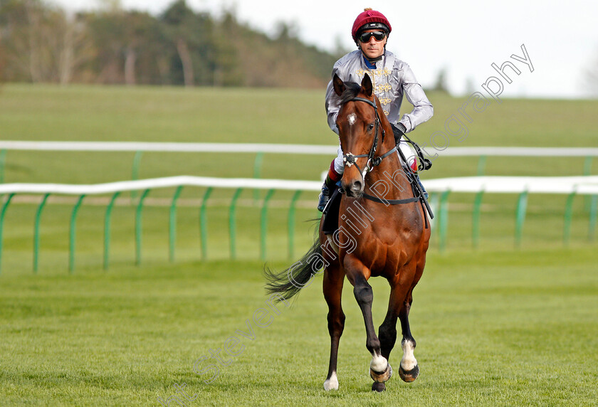 Msayyan-0001 
 MSAYYAN (Frankie Dettori) Newmarket 17 Apr 2018 - Pic Steven Cargill / Racingfotos.com