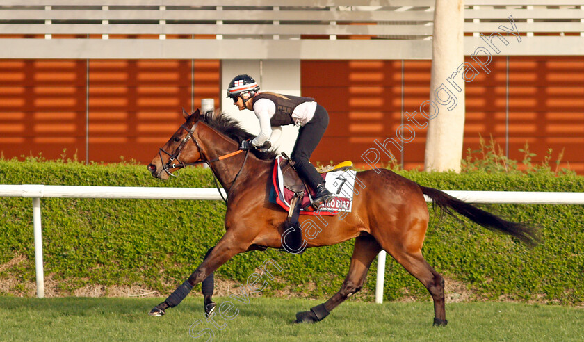 Rodrigo-Diaz-0002 
 RODRIGO DIAZ training for the Dubai Gold Cup
Meydan, Dubai, 23 Mar 2022 - Pic Steven Cargill / Racingfotos.com