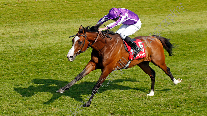 Point-Lonsdale-0002 
 POINT LONSDALE (Ryan Moore) wins The tote.co.uk Supporting Racing Ormonde Stakes
Chester 9 May 2024 - Pic Steven Cargill / Racingfotos.com