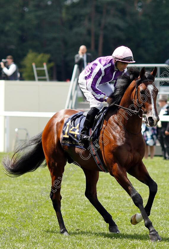 United-Front-0001 
 UNITED FRONT (Wayne Lordan)
Royal Ascot 22 Jun 2019 - Pic Steven Cargill / Racingfotos.com