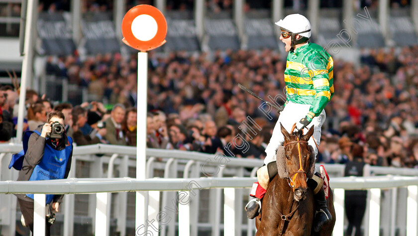 Easysland-0008 
 EASYSLAND (Jonathan Plouganou) wins The Glenfarclas Cross Country Chase
Cheltenham 11 Mar 2020 - Pic Steven Cargill / Racingfotos.com