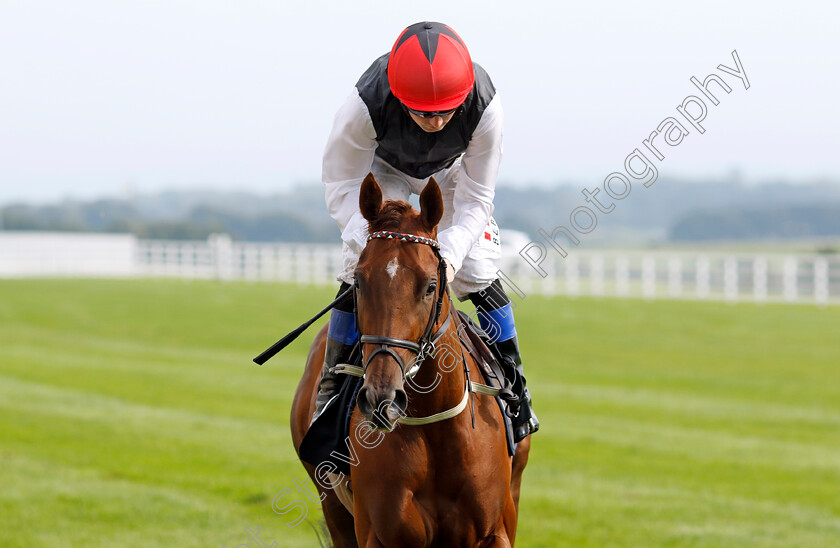 Red-Viburnum-0001 
 RED VIBURNUM (Chris Hayes)
The Curragh 10 Sep 2023 - Pic Steven Cargill / Racingfotos.com