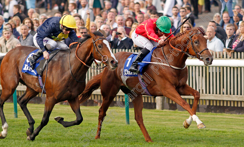 Rufus-King-0003 
 RUFUS KING (P J McDonald) beats PORTH SWTAN (left) in The Darley Nursery Newmarket 14 Oct 2017 - Pic Steven Cargill / Racingfotos.com