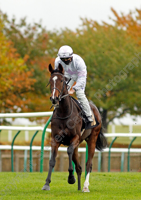 Urban-Violet-0001 
 URBAN VIOLET (Tom Marquand)
Newmarket 21 Oct 2020 - Pic Steven Cargill / Racingfotos.com