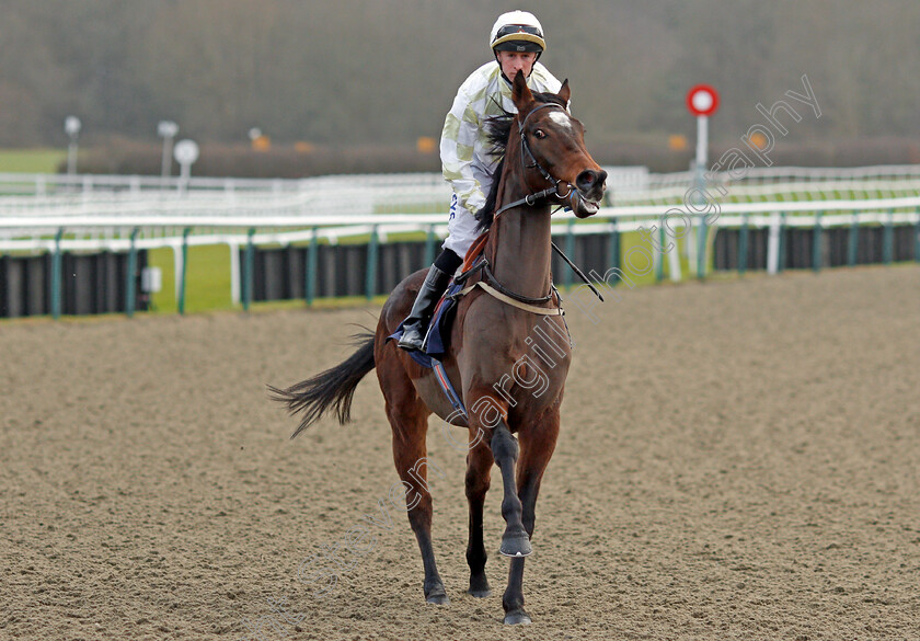 Amenta-0001 
 AMENTA (Joey Haynes) Lingfield 30 Dec 2017 - Pic Steven Cargill / Racingfotos.com