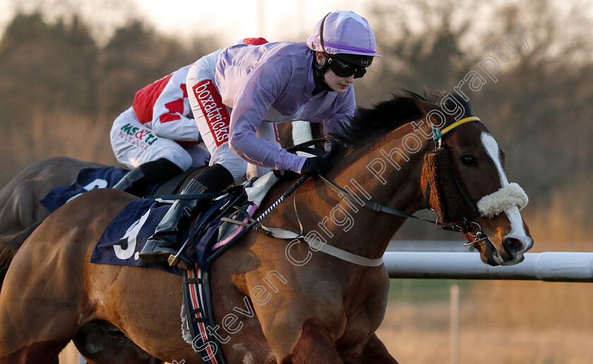 Limerick-Lord-0001 
 LIMERICK LORD (Shelley Birkett)
Wolverhampton 26 Feb 2019 - Pic Steven Cargill / Racingfotos.com