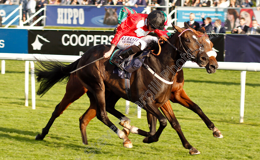 Jack-Regan-0002 
 JACK REGAN (Ryan Moore) wins The Coopers Marquees Classified Stakes
Doncaster 14 Sep 2018 - Pic Steven Cargill / Racingfotos.com