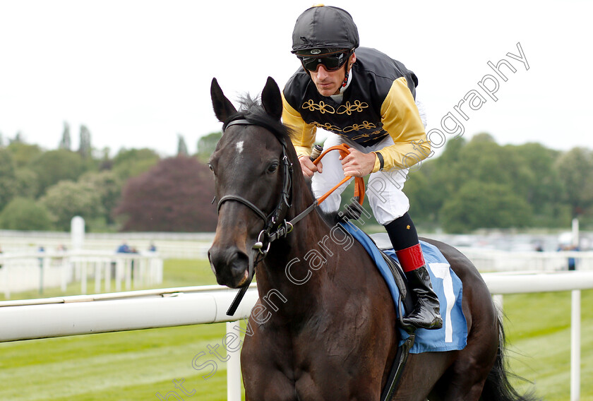 Artistica-0001 
 ARTISTICA (Andrasch Starke)
York 16 May 2018 - Pic Steven Cargill / Racingfotos.com