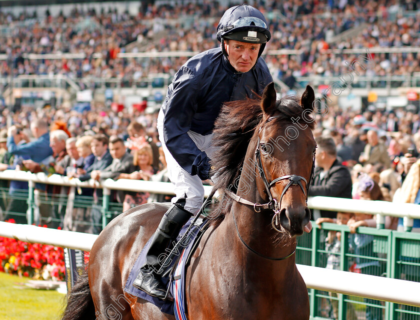 Peace-Envoy-0001 
 PEACE ENVOY (Seamie Heffernan) Doncaster 16 Sep 2017 - Pic Steven Cargill / Racingfotos.com