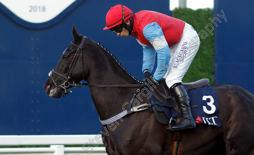 Garo-De-Juilley-0001 
 GARO DE JUILLEY (Jonathan Burke)
Ascot 22 Dec 2018 - Pic Steven Cargill / Racingfotos.com