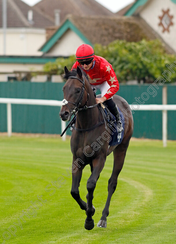 The-Bitter-Moose-0001 
 THE BITTER MOOSE (Tom Marquand)
Yarmouth 19 Sep 2023 - Pic Steven Cargill / Racingfotos.com