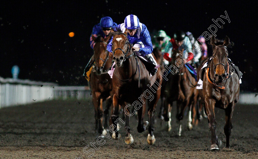 Tanseeq-0004 
 TANSEEQ (left, Jim Crowley) alongside riderless INDISCRETION, wins The 100% Profit Boost At 32Redsport.com Novice Median Auction Stakes Kempton 22 Nov 2017 - Pic Steven Cargill / Racingfotos.com