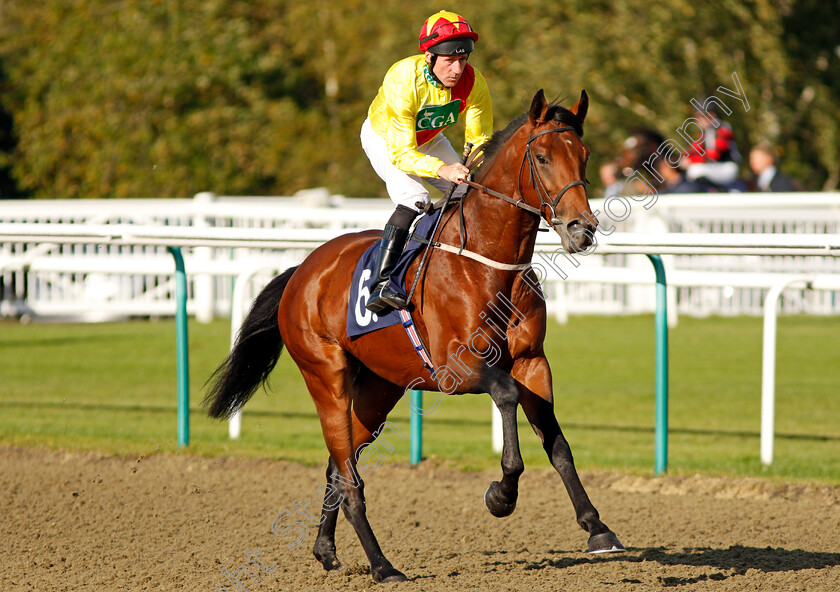 Hats-Off-To-Larry-0001 
 HATS OFF TO LARRY (John Egan) Lingfield 5 Oct 2017 - Pic Steven Cargill / Racingfotos.com