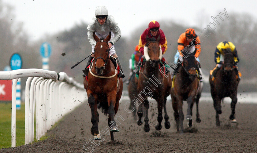 Matterhorn-0008 
 MATTERHORN (Joe Fanning) wins The Move Over To Matchbook Handicap
Kempton 6 Mar 2019 - Pic Steven Cargill / Racingfotos.com