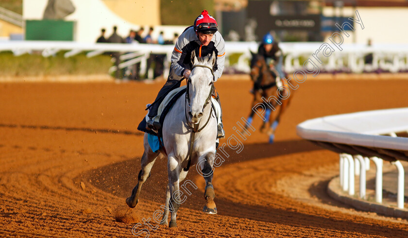 Art-Power-0001 
 ART POWER (David Allan) training for The 1351 Turf Sprint
King Abdulaziz Racecourse, Saudi Arabia 21 Feb 2024 - Pic Steven Cargill / Racingfotos.com