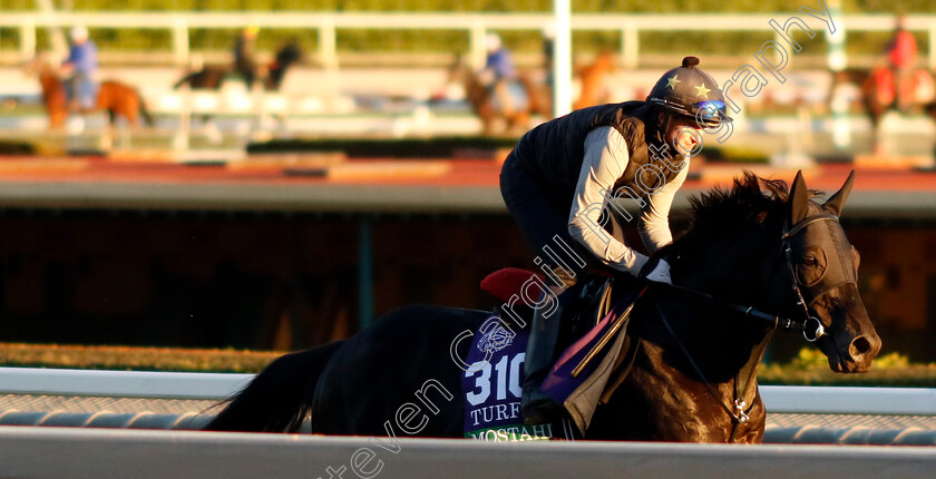 Mostahdaf-0006 
 MOSTAHDAF training for The Breeders' Cup Turf
Santa Anita USA, 31 October 2023 - Pic Steven Cargill / Racingfotos.com