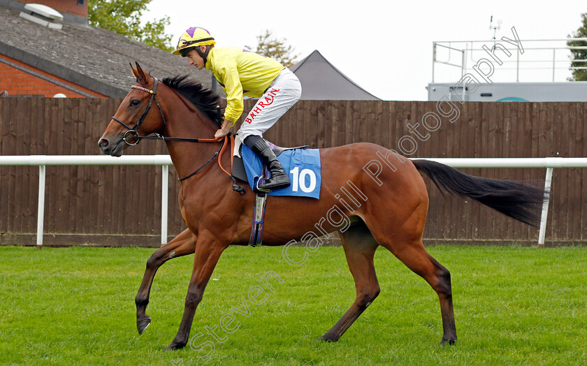 Morgan-Fairy 
 MORGAN FAIRY (Tom Marquand)
Leicester 12 Oct 2021 - Pic Steven Cargill / Racingfotos.com