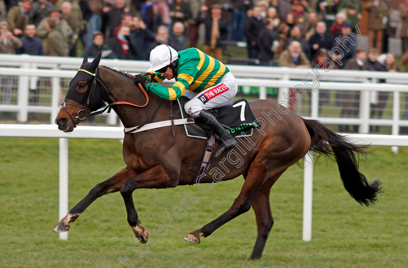 My-Tent-Or-Yours-0006 
 MY TENT OR YOURS (Barry Geraghty) wins The Unibet International Hurdle Cheltenham 16 Dec 2017 - Pic Steven Cargill / Racingfotos.com