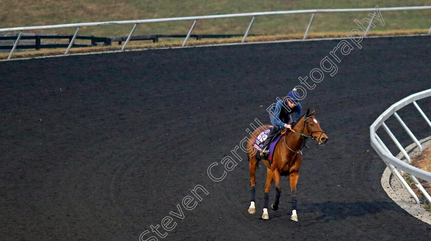 Highfield-Princess-0004 
 HIGHFIELD PRINCESS training for the Breeders' Cup Turf Sprint
Keeneland USA 1 Nov 2022 - Pic Steven Cargill / Racingfotos.com