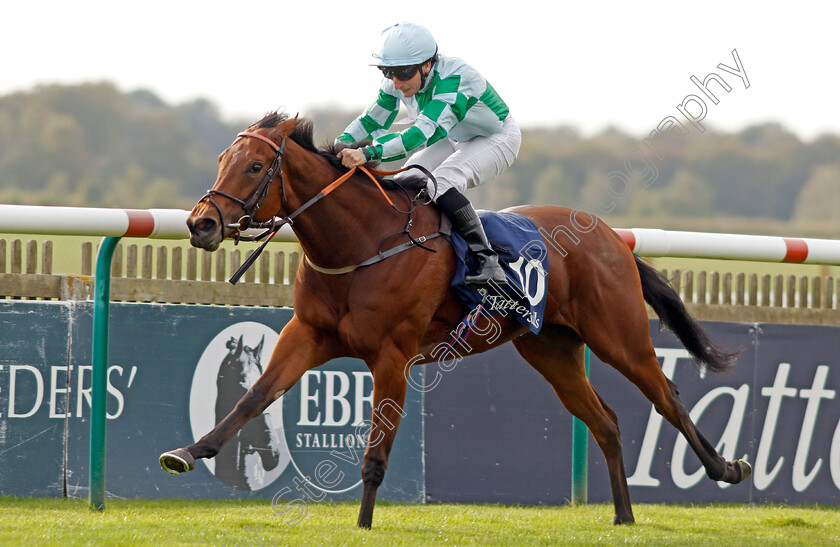 Woodhay-Wonder-0004 
 WOODHAY WONDER (P J McDonald) wins The £150,000 Tattersalls October Auction Stakes
Newmarket 7 Oct 2023 - Pic Steven Cargill / Racingfotos.com