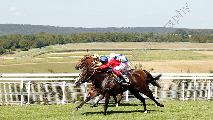 Regal-Reality-0002 
 REGAL REALITY (Frankie Dettori) wins The Bonhams Thoroughbred Stakes
Goodwood 3 Aug 2018 - pic Steven Cargill / Racingfotos.com