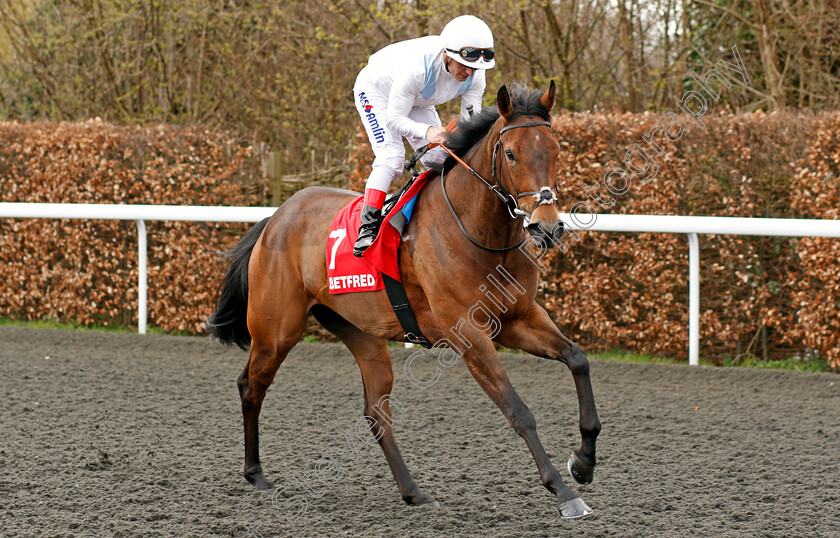 Shenanigans-0001 
 SHENANIGANS (Andrea Atzeni) Kempton 7 Apr 2018 - Pic Steven Cargill / Racingfotos.com