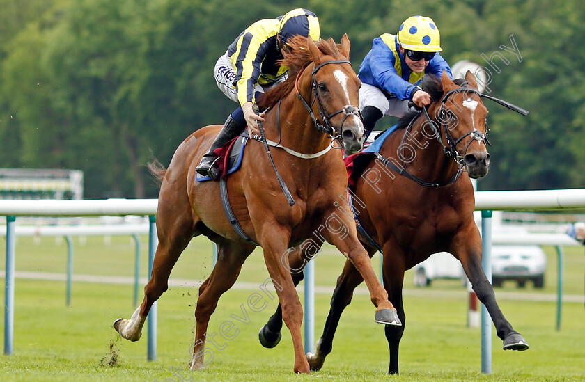 Whoputfiftyinyou-0006 
 WHOPUTFIFTYINYOU (left, David Probert) beats MIGHTY ULYSSES (right) in The Cazoo Silver Bowl Handicap
Haydock 21 May 2022 - Pic Steven Cargill / Racingfotos.com