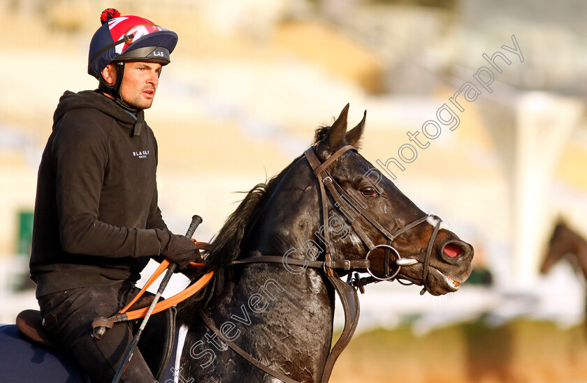 Pogo-0002 
 POGO training for the Turf Sprint
King Abdulaziz Racetrack, Riyadh, Saudi Arabia 24 Feb 2022 - Pic Steven Cargill / Racingfotos.com