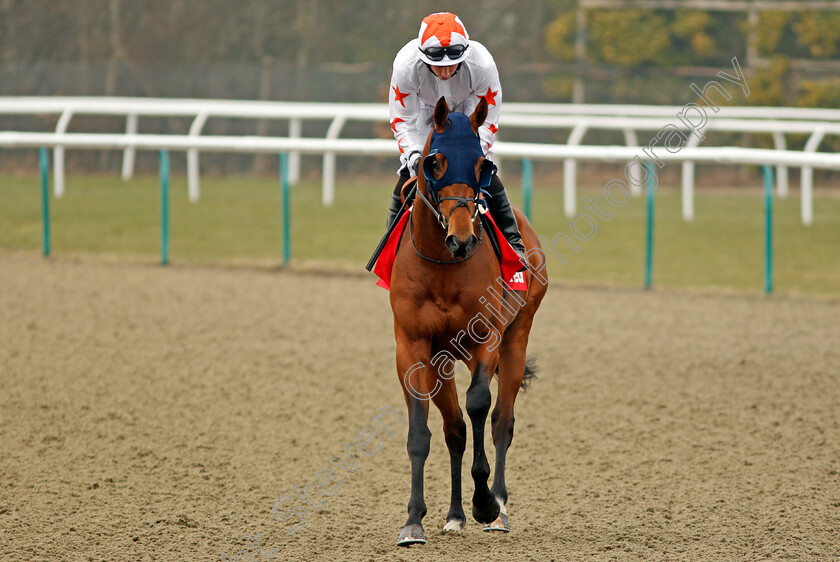 Lansky-0001 
 LANSKY (Ryan Moore) Lingfield 3 Mar 2018 - Pic Steven Cargill / Racingfotos.com