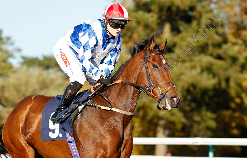 Rosemary-And-Thyme 
 ROSEMARY AND THYME (Hollie Doyle)
Lingfield 28 Oct 2021 - Pic Steven Cargill / Raingfotos.com