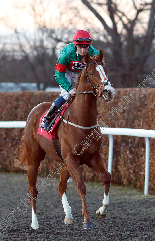 Benny-And-The-Jets-0001 
 BENNY AND THE JETS (Rob Hornby)
Kempton 12 Dec 2018 - Pic Steven Cargill / Racingfotos.com