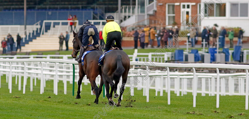 Dusart-and-Jeriko-Du-Reponet-0001 
 DUSART leads JERIKO DU REPONET 
Coral Gold Cup Gallops Morning
Newbury 21 Nov 2023 - Pic Steven Cargill / Racingfotos.com