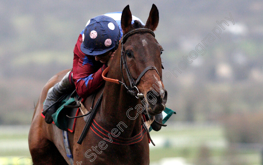 Paisley-Park-0009 
 PAISLEY PARK (Aidan Coleman) wins The galliardhomes.com Cleeve Hurdle
Cheltenham 26 Jan 2019 - Pic Steven Cargill / Racingfotos.com