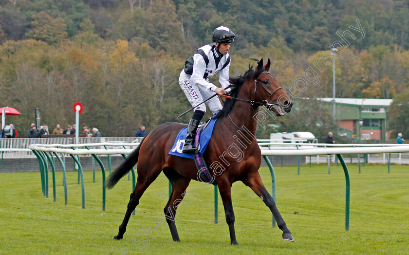 Victory-Chime-0001 
 VICTORY CHIME (Pat Dobbs) Nottingham 18 Oct 2017 - Pic Steven Cargill / Racingfotos.com