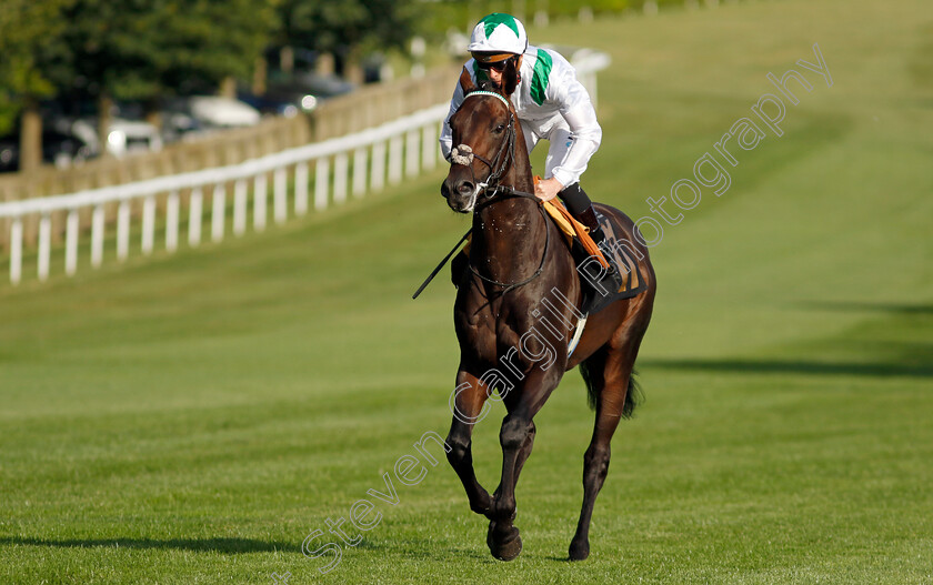 Spirit-Of-Summer-0001 
 SPIRIT OF SUMMER (Jason Watson)
Newmarket 9 Aug 2024 - Pic Steven Cargill / Racingfotos.com