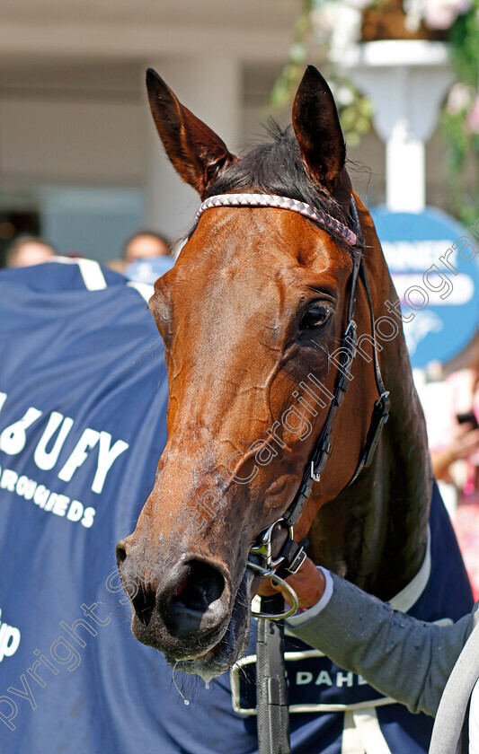 Emily-Upjohn-0009 
 EMILY UPJOHN winner of The Dahlbury Coronation Cup
Epsom 2 Jun 2023 - pic Steven Cargill / Racingfotos.com