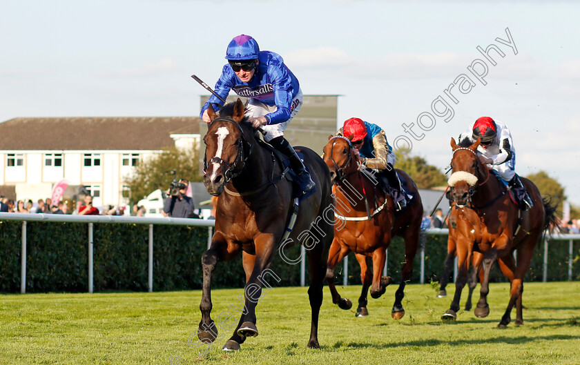 Shout-0002 
 SHOUT (Robert Havlin) wins The Believe Money Confined Nursery
Doncaster 13 Sep 2024 - Pic Steven Cargill / Racingfotos.com