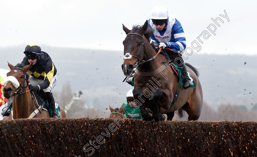 Frodon-0003 
 FRODON (Bryony Frost) wins The BetBright Trial Cotswold Chase
Cheltenham 26 Jan 2019 - Pic Steven Cargill / Racingfotos.com