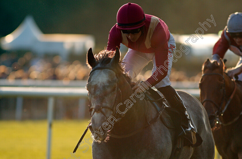 Soar-Above-0006 
 SOAR ABOVE (Tom Marquand) wins The Rich Energy Sugar Free Handicap
Newmarket 6 Aug 2021 - Pic Steven Cargill / Racingfotos.com