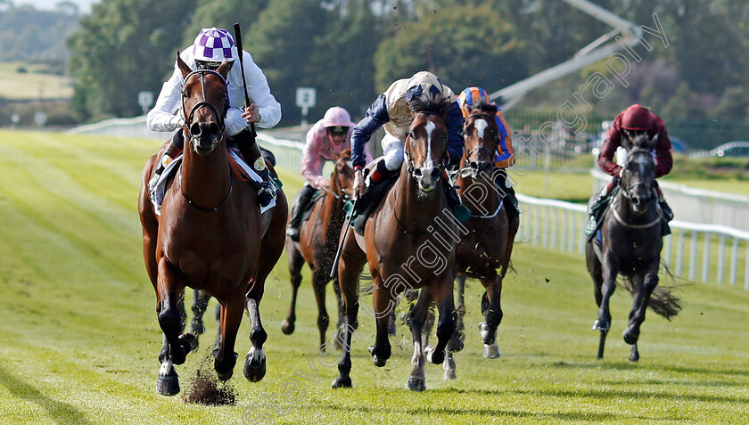 Verbal-Dexterity-0001 
 VERBAL DEXTERITY (Kevin Manning) beats BECKFORD (centre) in The Goffs Vincent O'Brien National Stakes Curragh 10 Sep 2017 - Pic Steven Cargill / Racingfotos.com