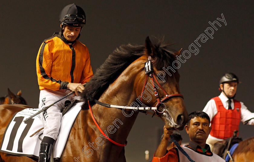 Waqqad-0001 
 WAQQAD (Dane O'Neill) Meydan 25 Jan 2018 - Pic Steven Cargill / Racingfotos.com