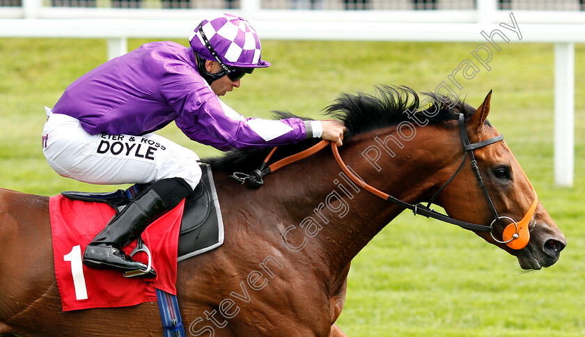 Ouzo-0005 
 OUZO (Sean Levey) wins The Follow @racingtv On Twitter Handicap
Sandown 14 Jun 2019 - Pic Steven Cargill / Racingfotos.com